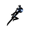 �����ܿ�Ninja