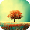 ���ض�̬��ֽ��׿��