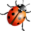 �๦���ı��༭��(SSuite NoteBook Editor)