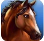 HorseHotel(��ƥ�ù�)