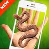 ������Ļ����app