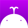 ֪��app
