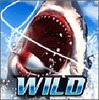 Wild Fishing Simulator(Ұ�����ģ��)