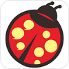 ������app��׿��