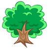 1Tree Pro����ע��1PC��