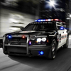 Fast Police Car Driving 3D(����ѵ��������)