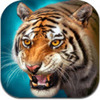 The Tiger(����ģ����)