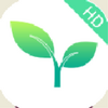 �ɳ���HD
