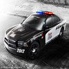 �ҵľ�������ʻ����