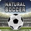 Natural Soccer(�ֻ�������)