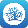 ��۱�app