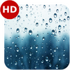 asmr�����������relax rain