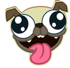 Pug Rapids(С������Ư����)