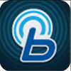 blueLink app