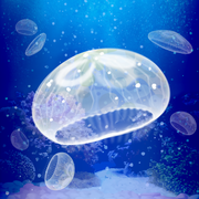 ellyfish Aquarium Free(ˮĸ)