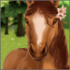 HorseHotel(�չ�������)