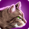 Сè����CatRun