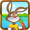 bunny rabbit dress up(���������Ϸ)