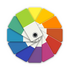 iColorama S4.29�ٷ���