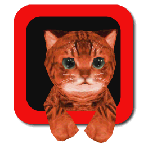 Cat Simulator 3D(СèģϷȫ)1.0׿