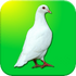 ���뱦���ֻ���v1.1.2