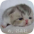 qq����Musictool