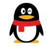 QQ��̽ʽ��ʵ����֤