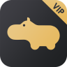 ����VIP��׿��