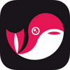��ʱ������app