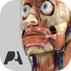 Pocket Anatomy 2018
