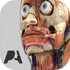 Pocket Anatomy 2018v1.1 �ٷ���