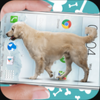 Dog on screen Woof woof joke�ֻ���(��δ����)