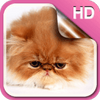 ���ɵ�Сè��̬��ֽ����APP