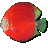 ����ʱ��