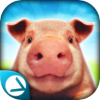 PigSimulator(����ģ����)