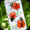 LadyBug in Phone Funny Joke(ư�����ֻ���Ļ�ϵ�Ц��)