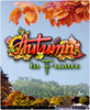 ����������(Autumn in France)