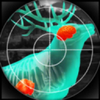 Wild Hunt(����������3D)
