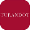 ͼ����羳�̳�Turando
