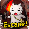 White cat(���������ռ�)
