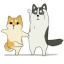 DNF�ڲ�������ש������Ѱ�