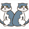 nekomachigai(Ѱ��è�Ĵ���(è�Τޤ�����������))
