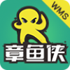 ��������WMS