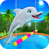 Dolphin Show(�ҵĺ�������Ѱ�(2020����))