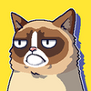 ��ˬ��èGrumpy Cat