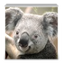 linux�����2.2