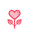 Ů�Խ���ҽ��������ѯ