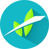 WeederMatch(���ݱ���)