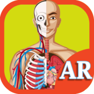 AR Human Organs(AR)v1.0׿