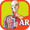 AR Human Organs(AR��������)ͼ��